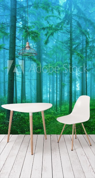 Picture of Dreamy green and blue colored foggy fairytale autumn season forest landscape background